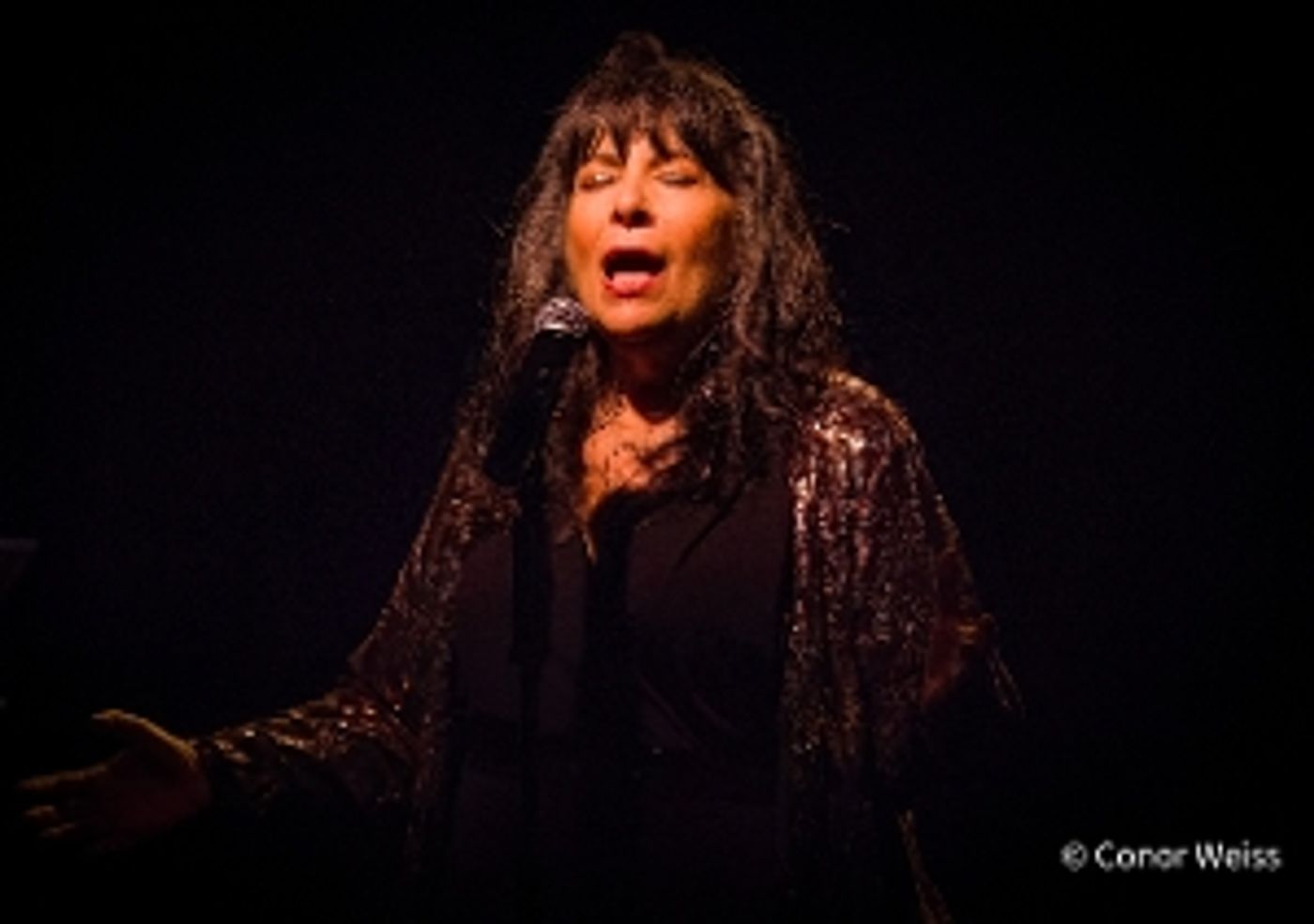 Photos: Patti Bottino-Bravo's ACT 3 Packs The Laurie Beechman Theatre  Image