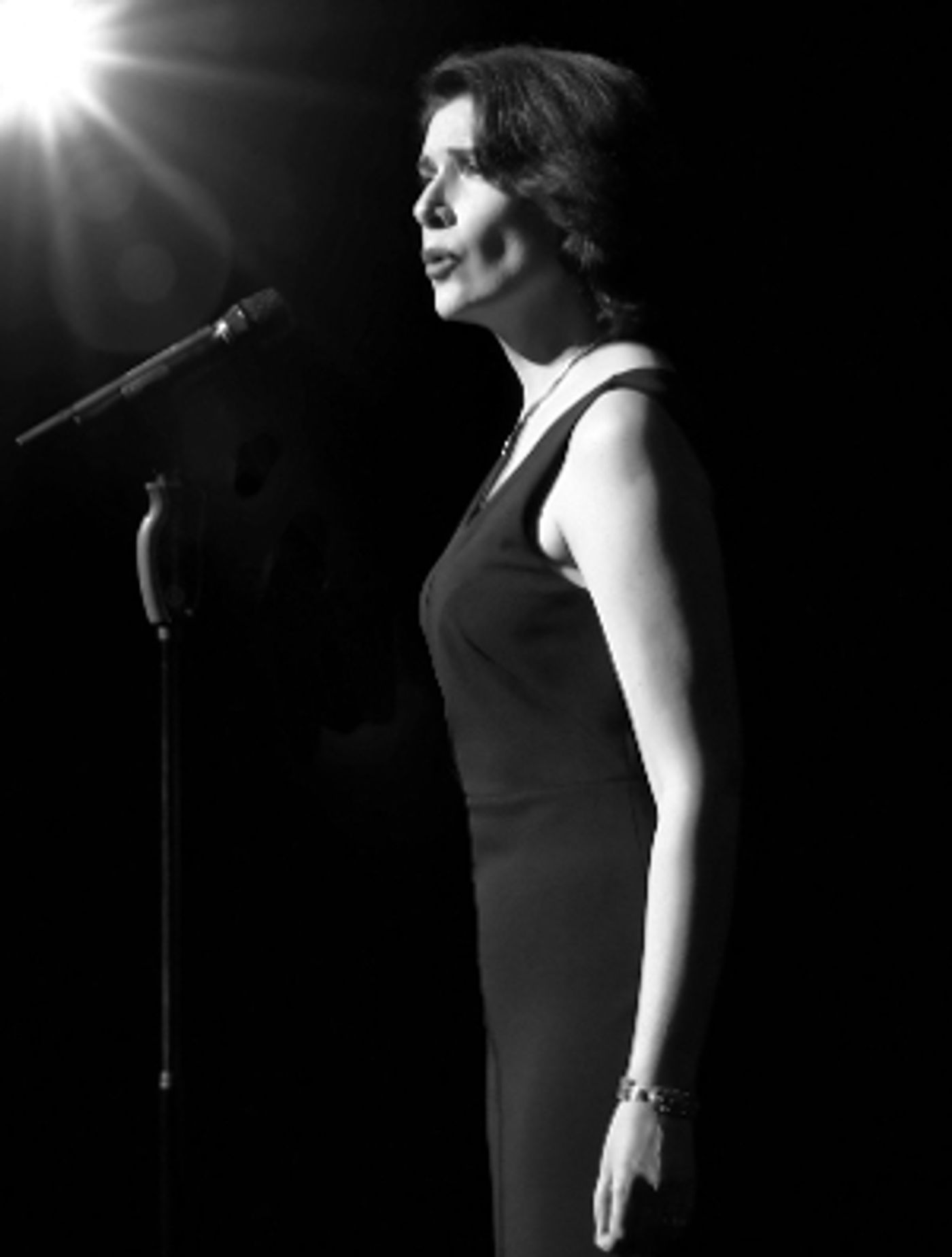 Meg Flather Will Debut HAMMERSTEIN AND SONDHEIM CAREFULLY TAUGHT at Don't Tell Mama  Image