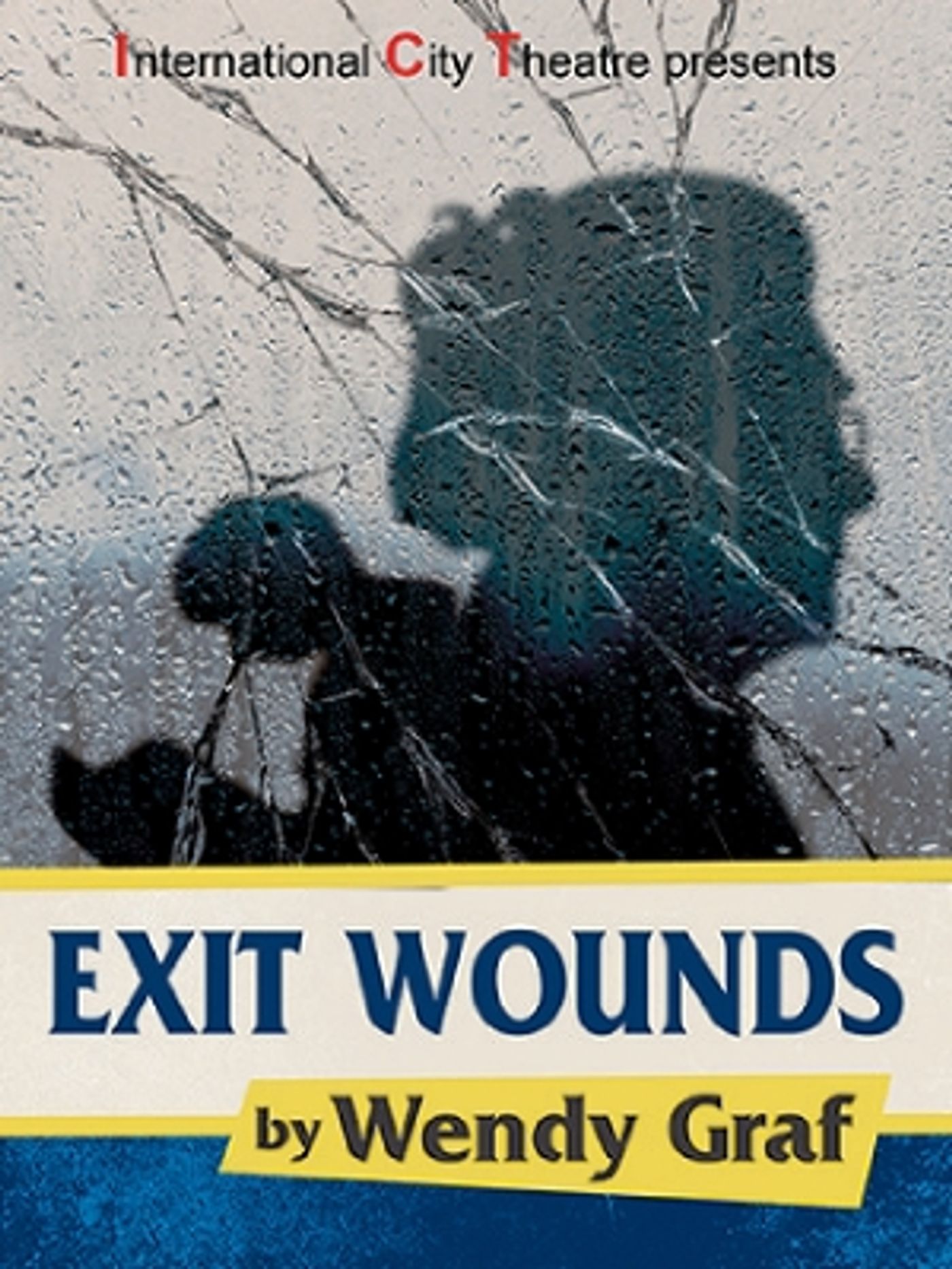 Interview: Playwright Wendy Graf on EXIT WOUNDS World Premiere at International City Theatre  Image