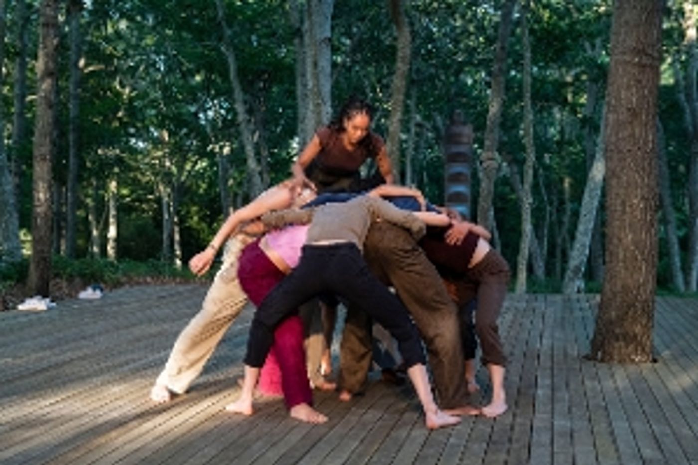 Robert Wilson's Watermill Center Gala Honors Dance and Visual Artist Simone Forti  Image