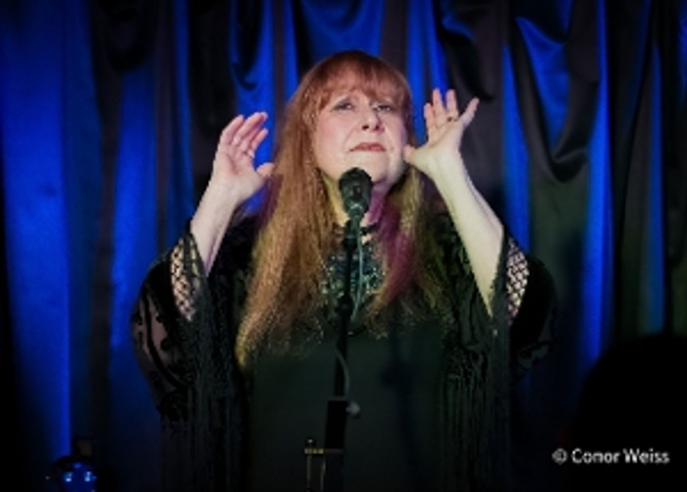 Photos: Carol Lipnik Offers Original Music In THROW DOWN A FEATHER FOR ME at Pangea  Image