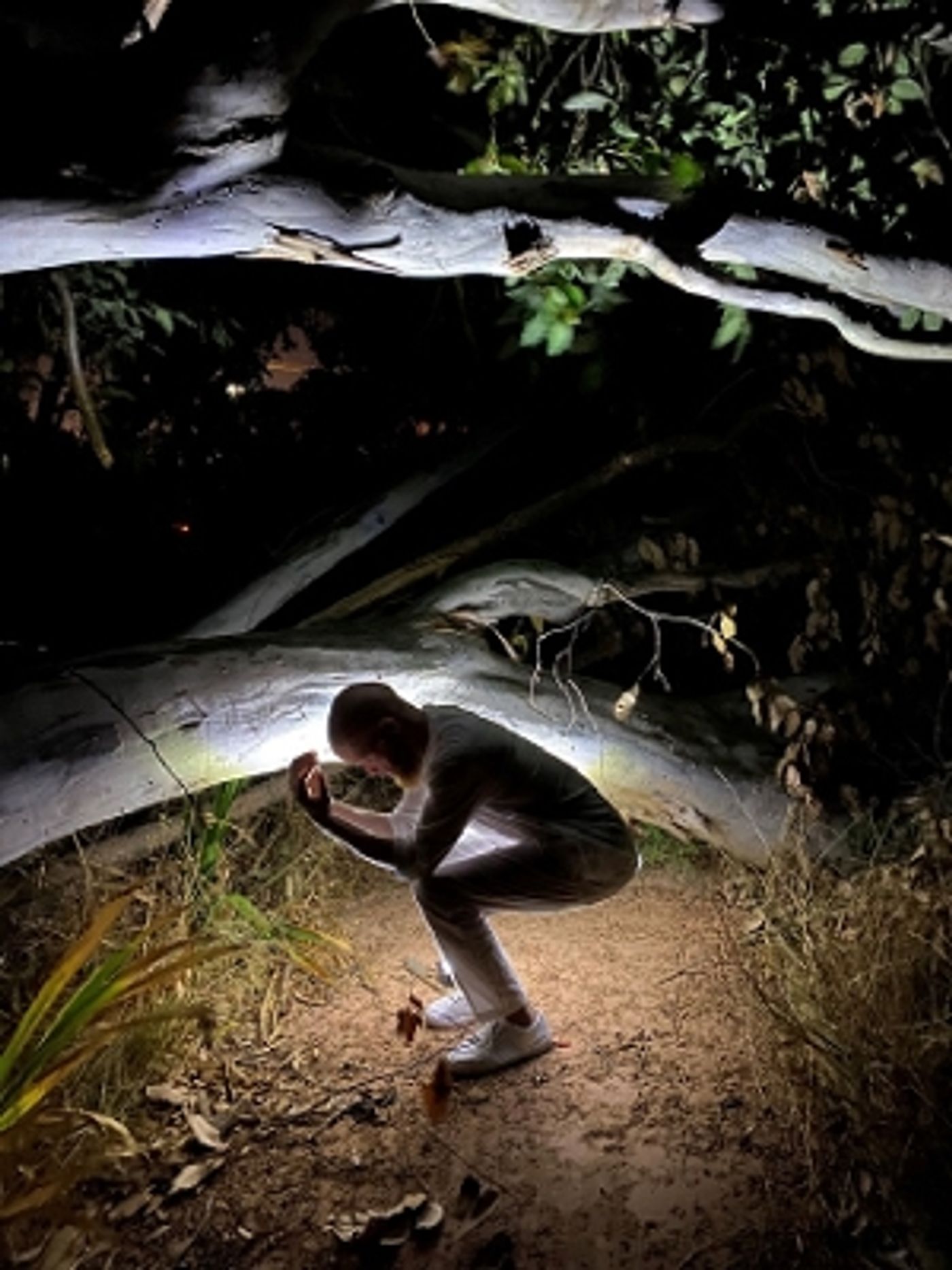 Interview: Jaqueline Dommisse of EAT THE STARS at South African Astronomical Observatory on Why this Show Will Leave You 'Starry-eyed' Interview: Jaqueline Dommisse of EAT THE STARS at South African Astronomical Observatory on Why this Show Will Leave You 'Starry-eyed' Image