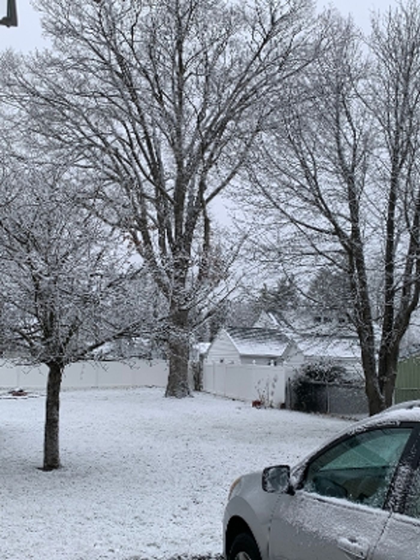 Student Blog: My Goals For 2024  Image