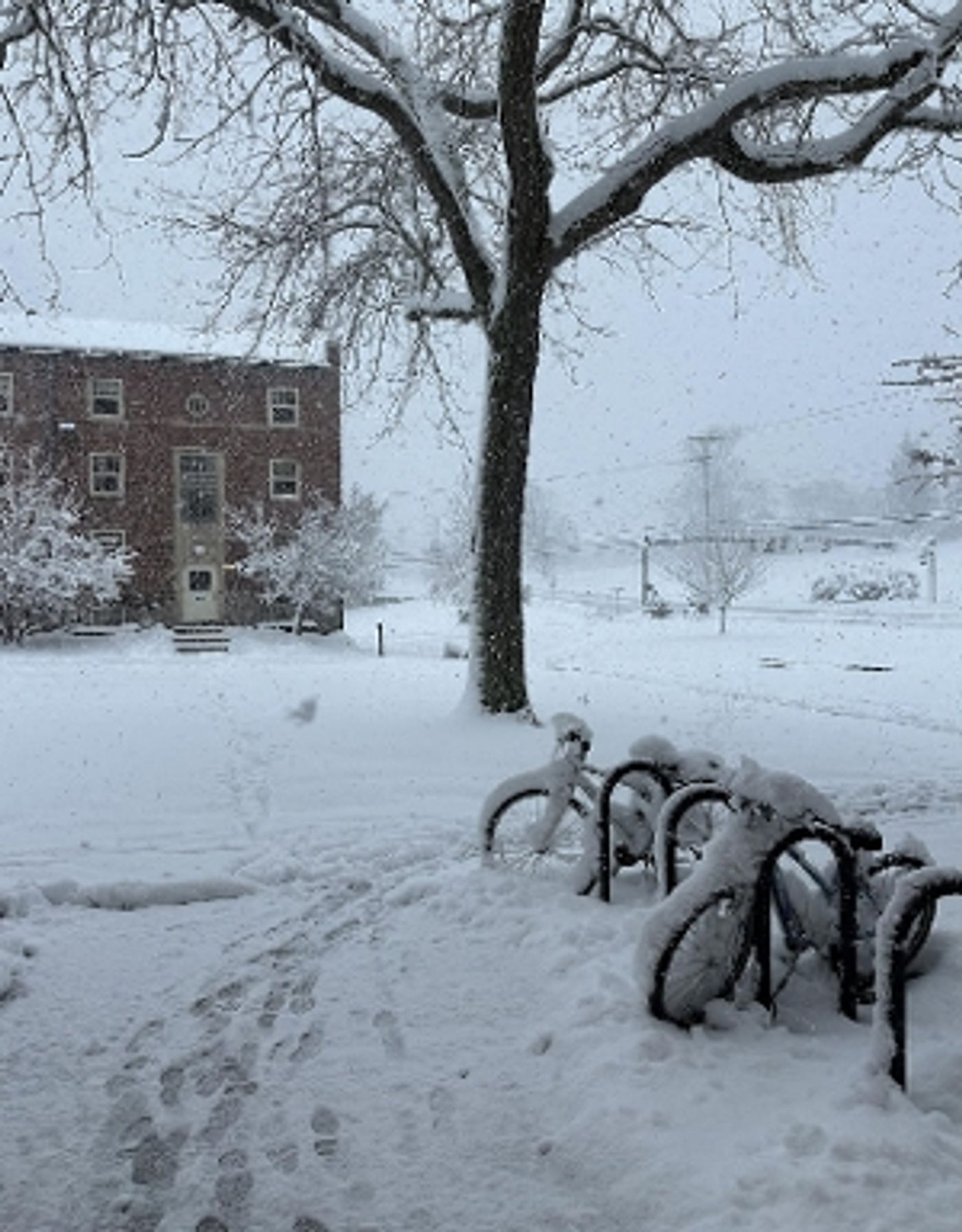 Student Blog: Back to Business: My Second Semester  Image