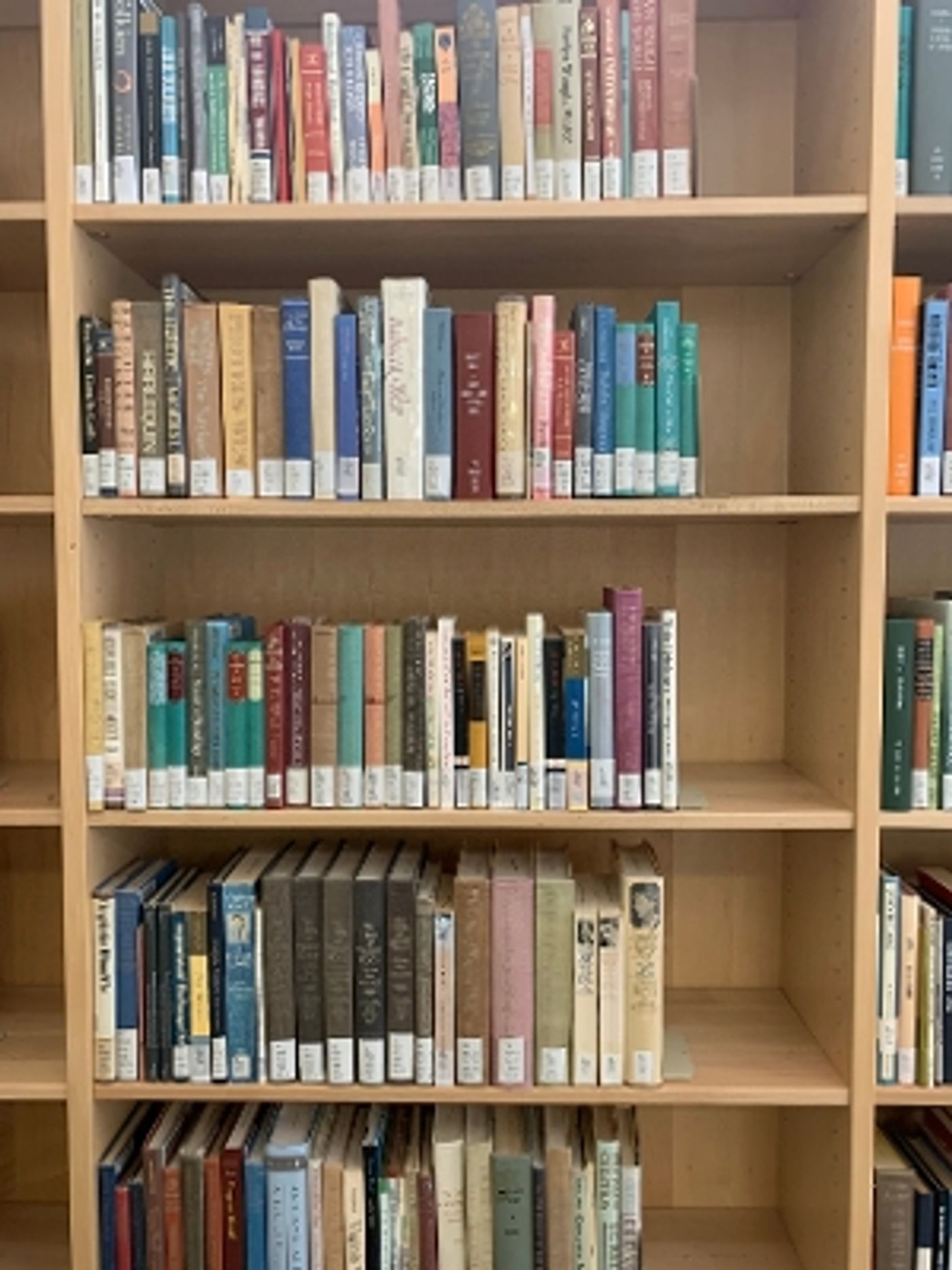 Student Blog: How to Support Your Local Libraries  Image