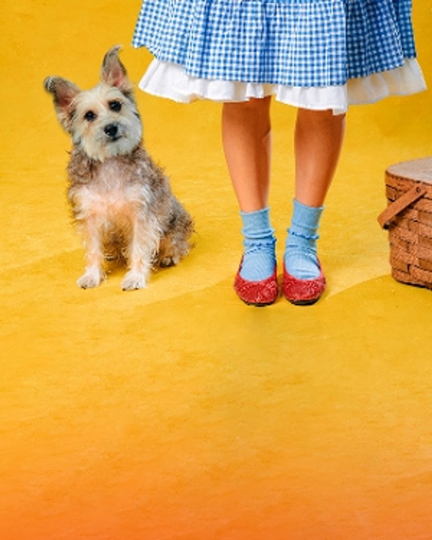 Interview: Jenny Lavery of THE WIZARD OF OZ at San Pedro Playhouse Interview: Jenny Lavery of THE WIZARD OF OZ at San Pedro Playhouse Image