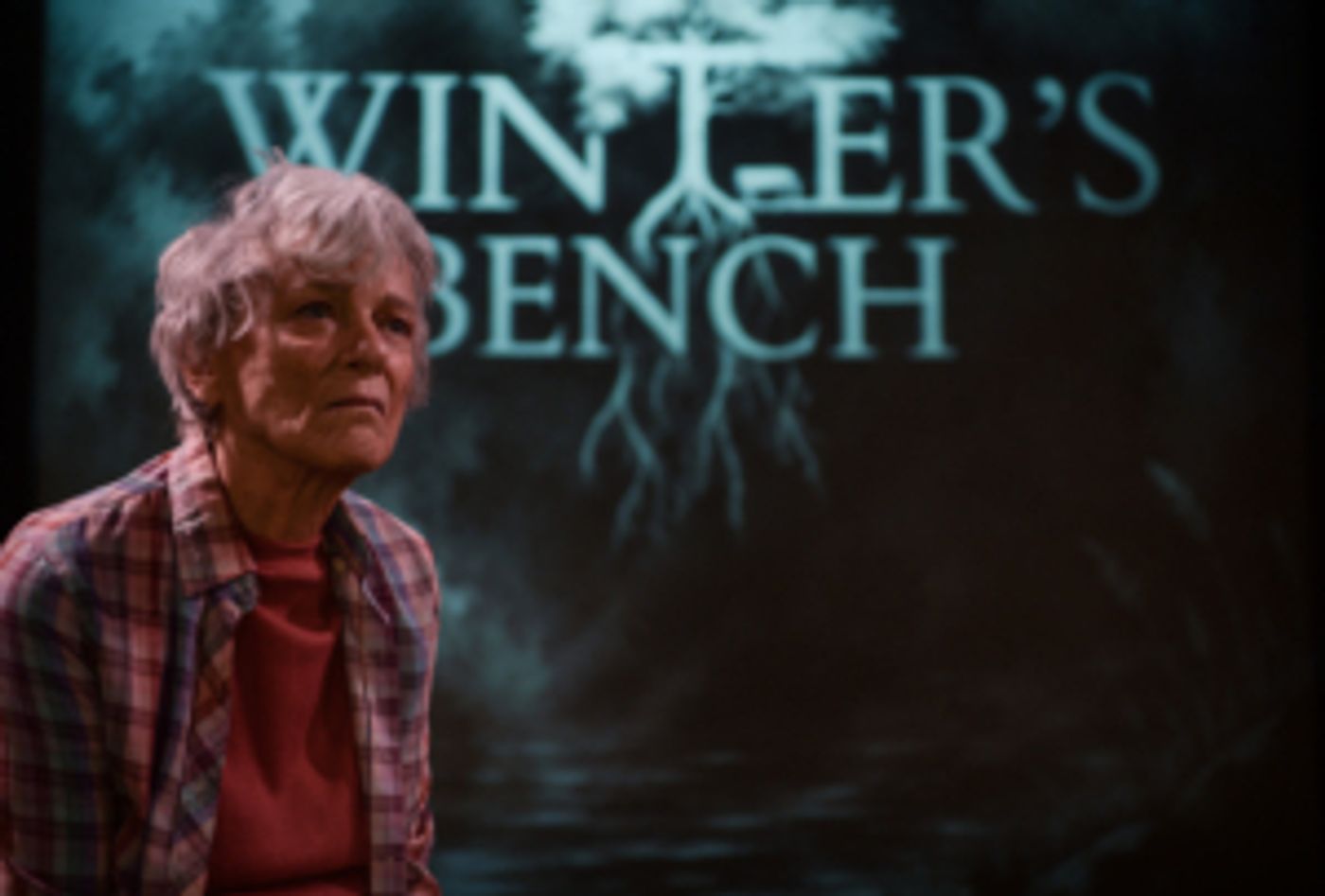 Interview: Director Debbie Devine of WINTER'S BENCH world premiere at 24th Street Theatre Image