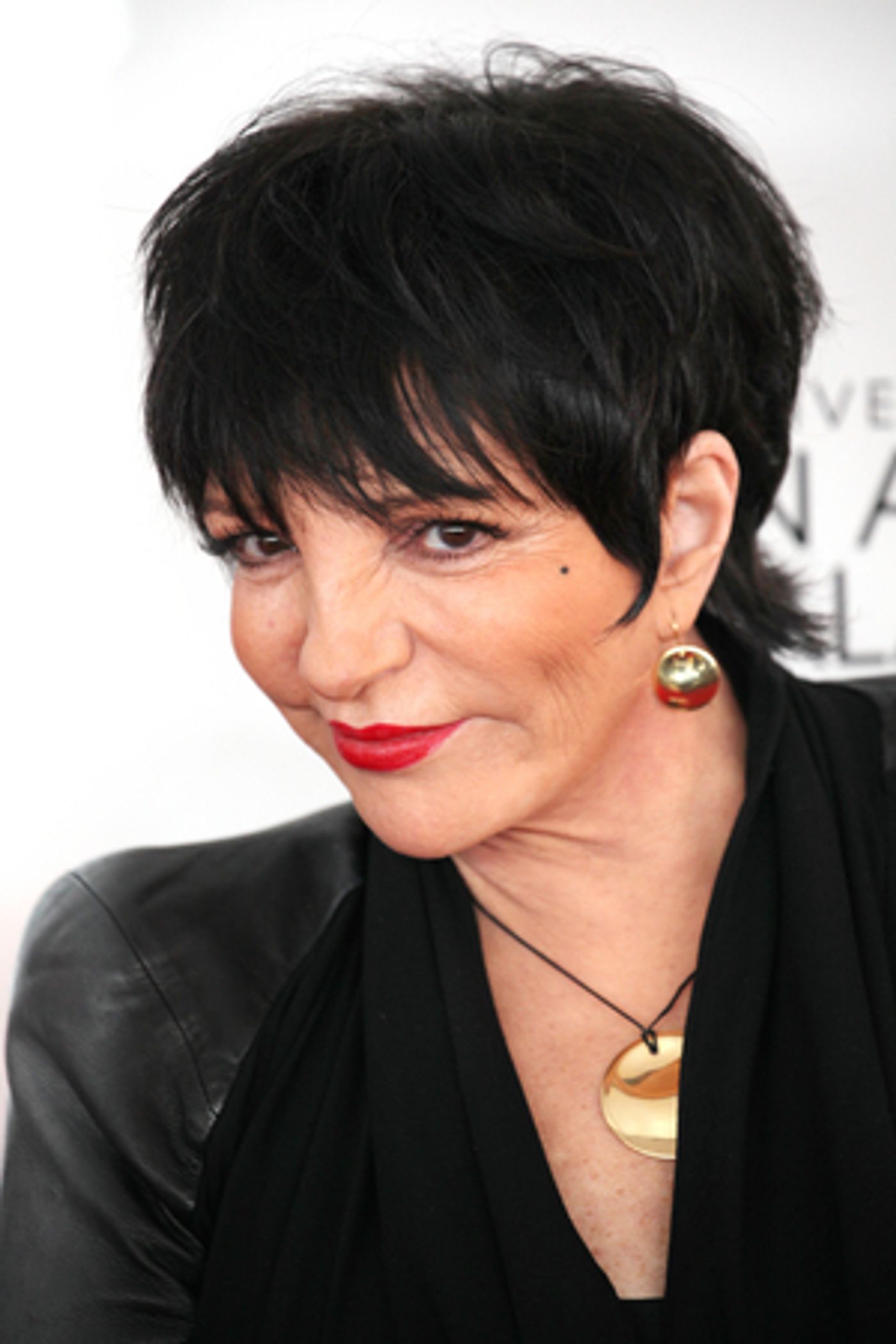 Liza Minnelli Reveals She Is Ready For Her Next Acting Job  Image