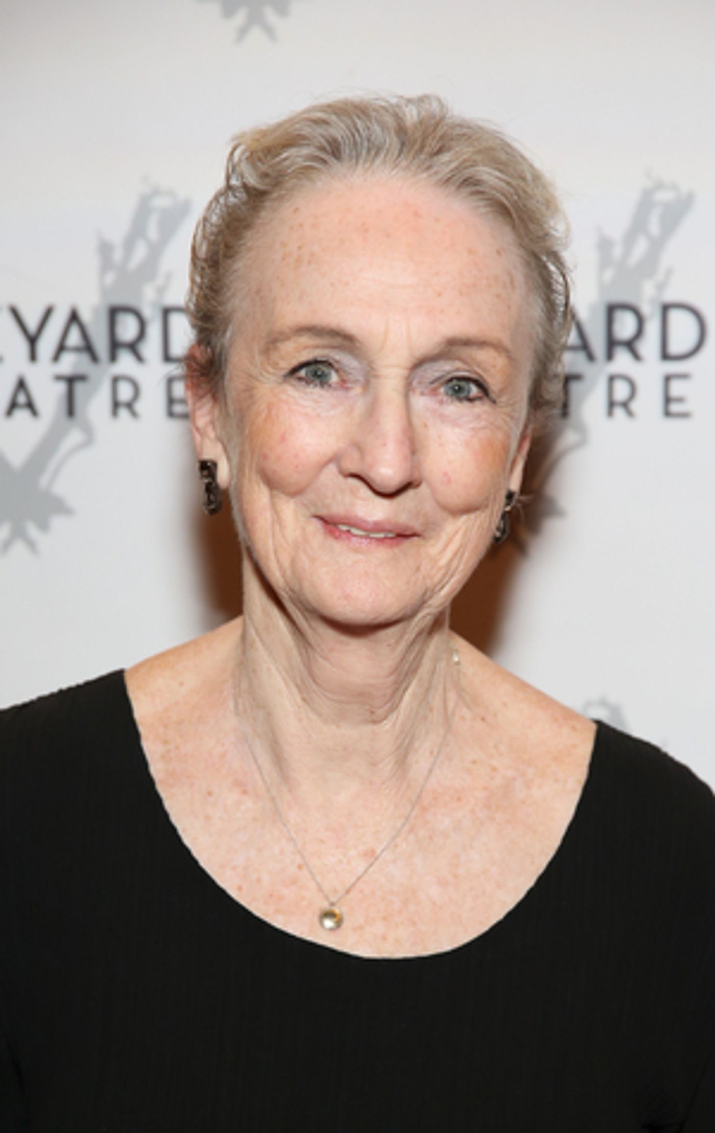 BLUE VALIANT Starring Kathleen Chalfant and George Bartenieff to be Released BLUE VALIANT Starring Kathleen Chalfant and George Bartenieff to be Released Image