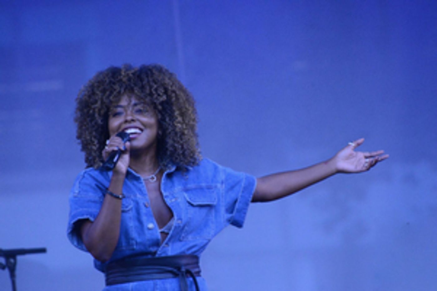 Adrienne Warren, Jessica Vosk, Michael Feinstein & More to Take Part in Carnegie Hall's CONCERT FOR UKRAINE  Image