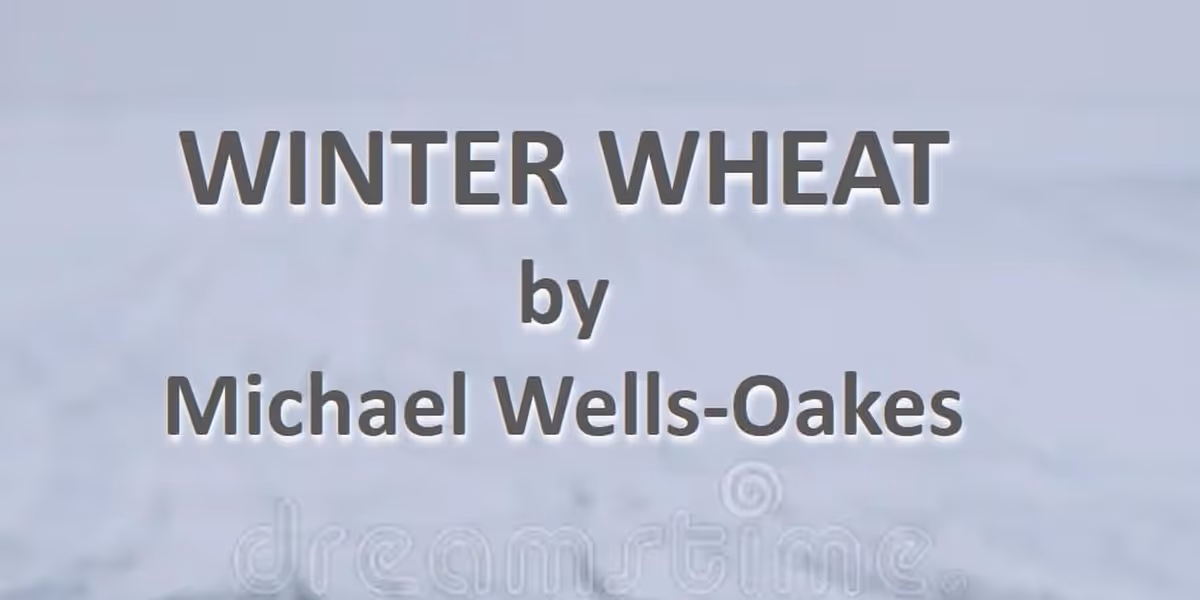 29th Street Playwrights Collective To Present Staged Reading Of WINTER WHEAT