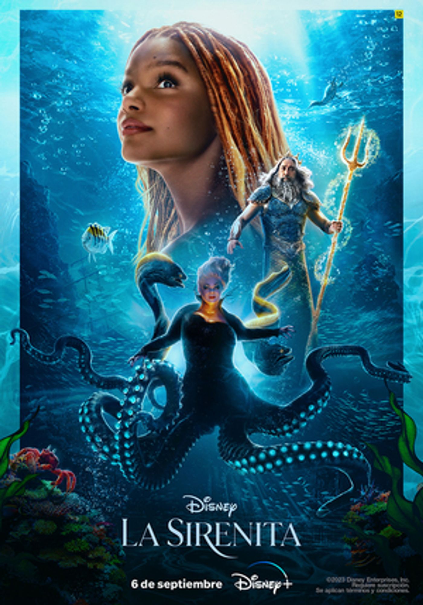 El Live Action de LA SIRENITA se estrenará el 6 de septiembre en Disney+  Image