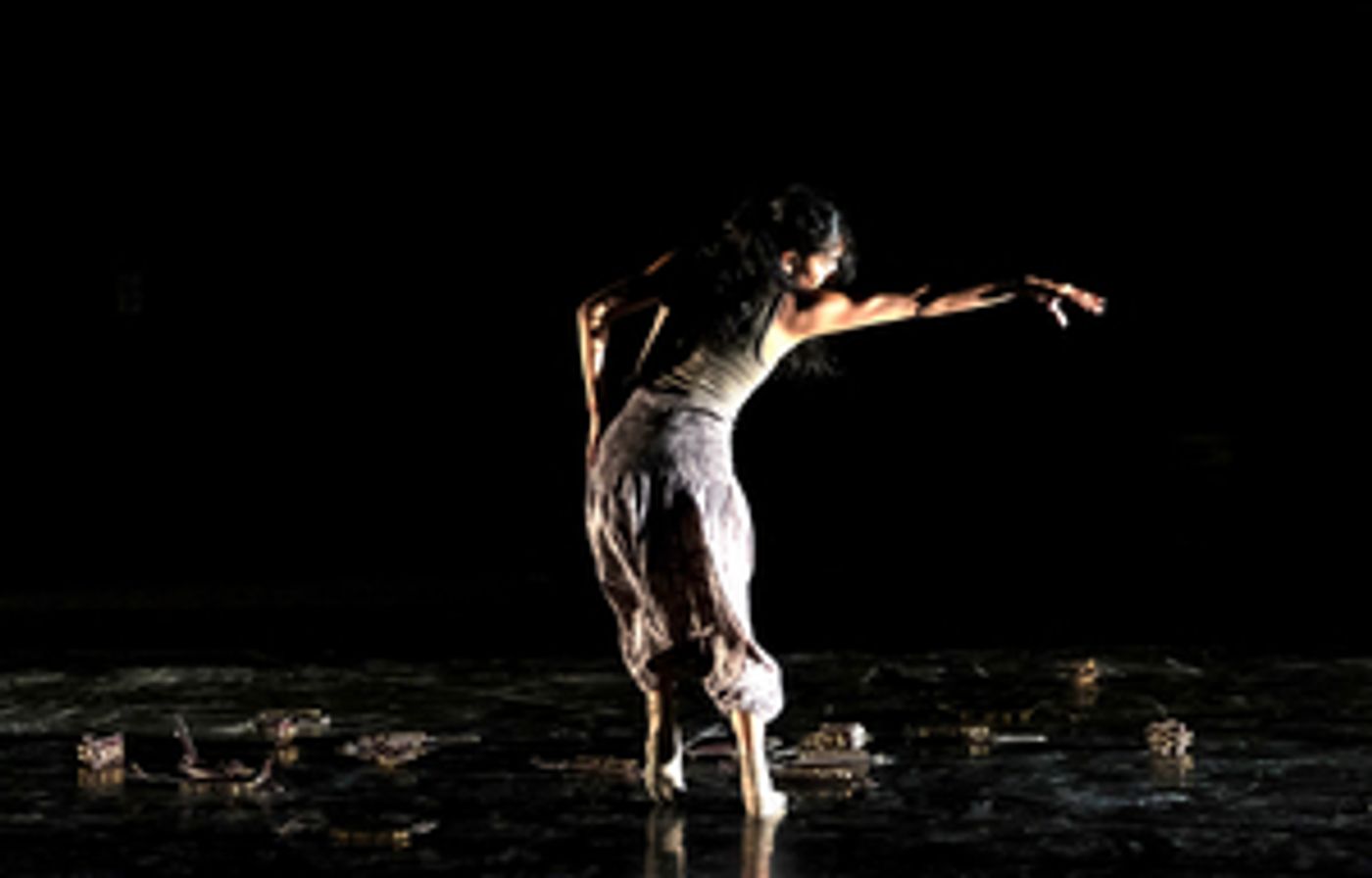 Interview: Artistic Director Achinta S. McDaniel of Blue13 Dance Company at The Wallis, May 12-13  Image
