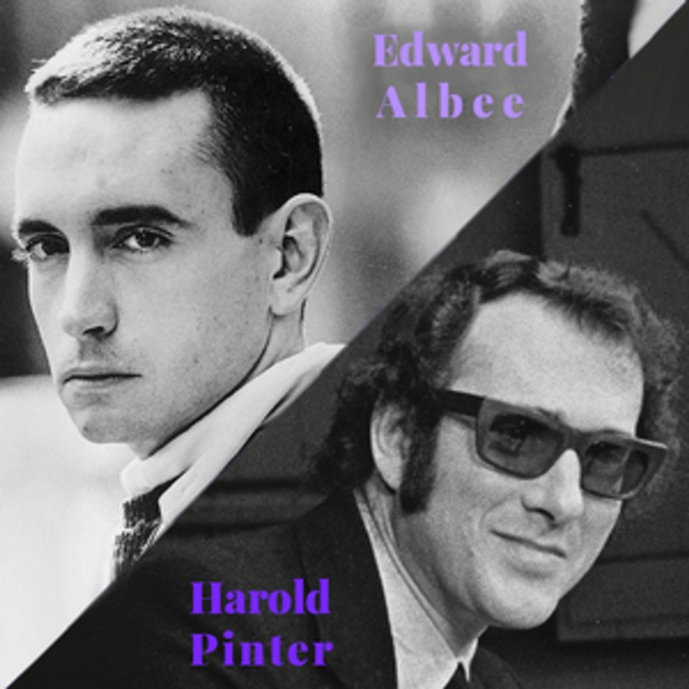 Interview: PRT Artistic Director Marilyn Fox on Directing ALBEE/PINTER  Image