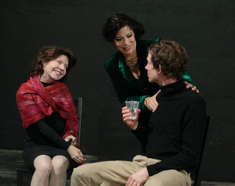 Interview: Paul Sand on the World Premiere of His Play THE PILOT WHO CRASHED THE PARTY Image