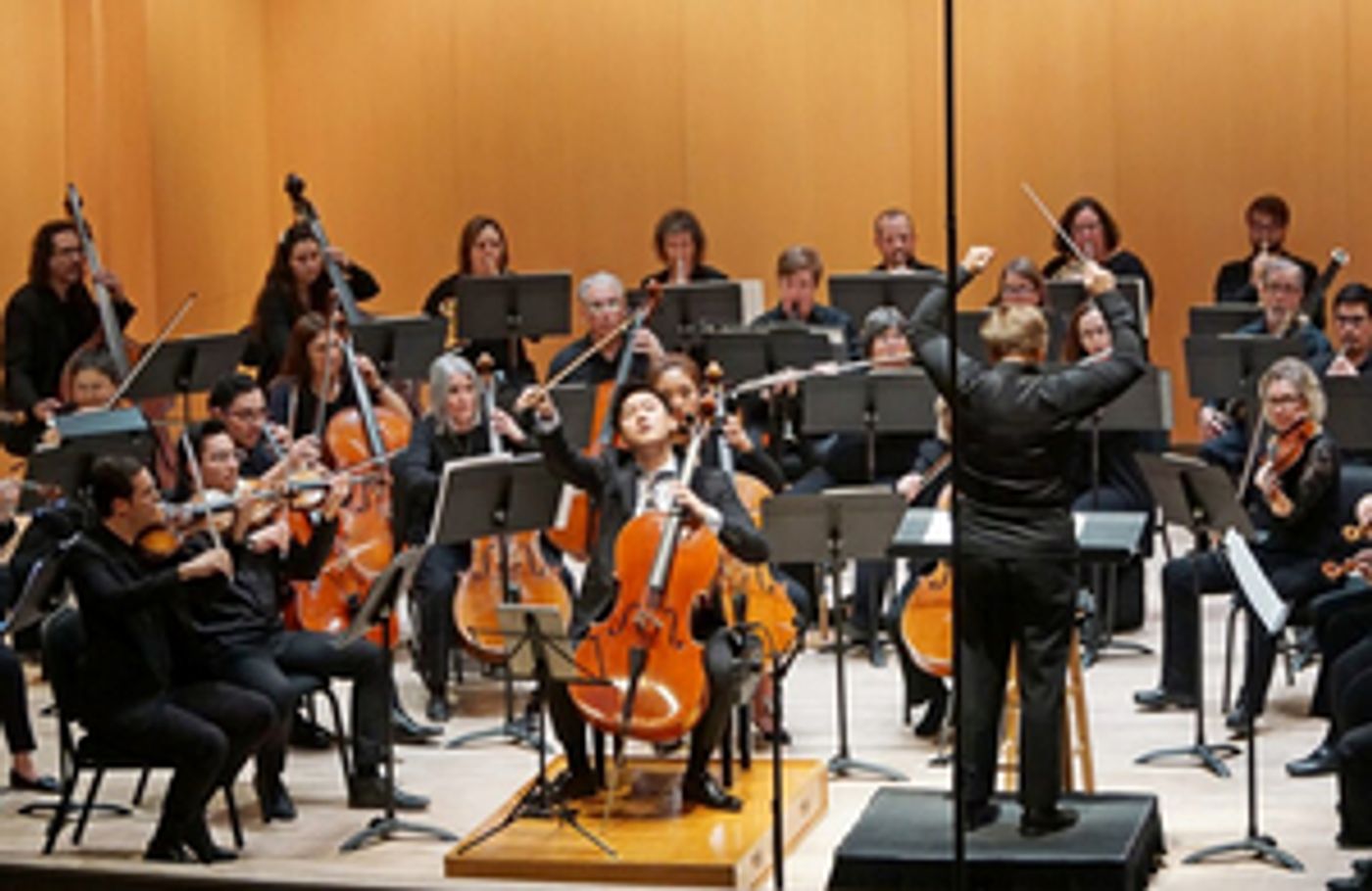 MusicaNova Orchestra Performs The Schumann Legacy At Musical Instrument Museum, December 4  Image
