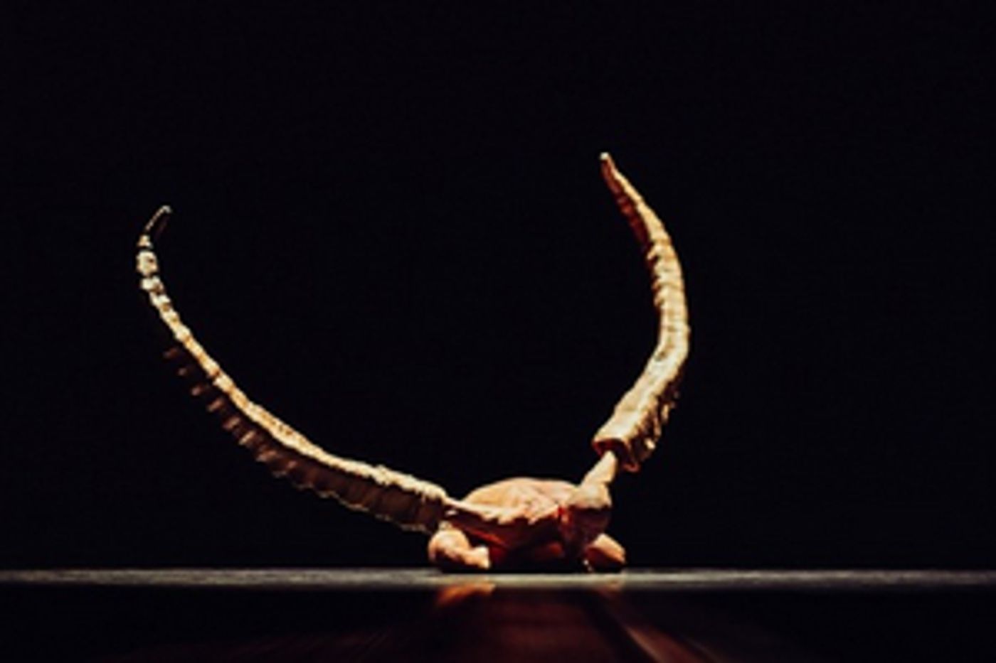 Nederlands Dans Theater Comes to Sadler's Wells in April  Image