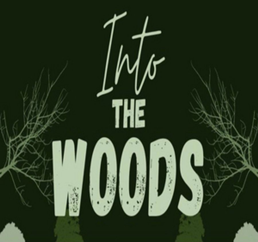 Possom Juniors Will Perform INTO THE WOODS This Month Image