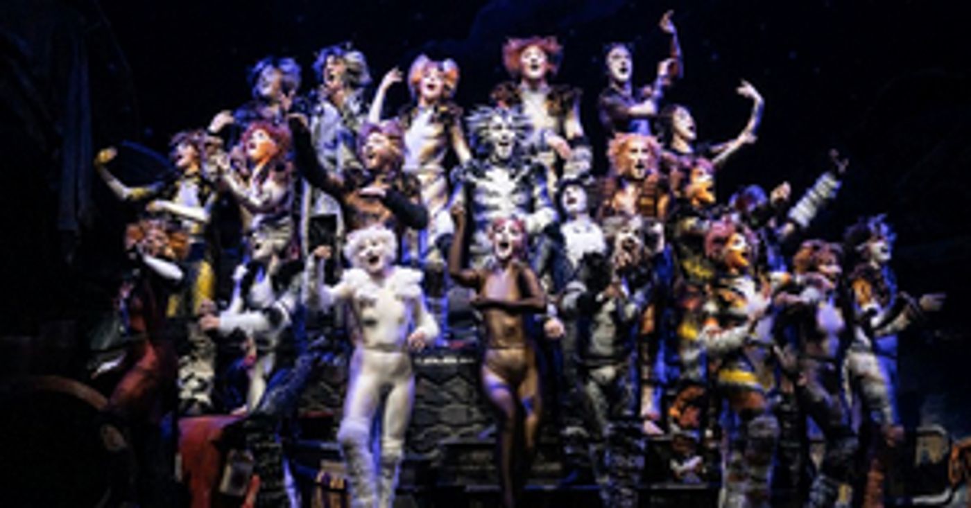 CATS On Sale At The Fox Cities Performing Arts Center This Friday  Image