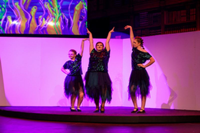 Review: BETWEEN THE LINES at Horace High School Theatre Image
