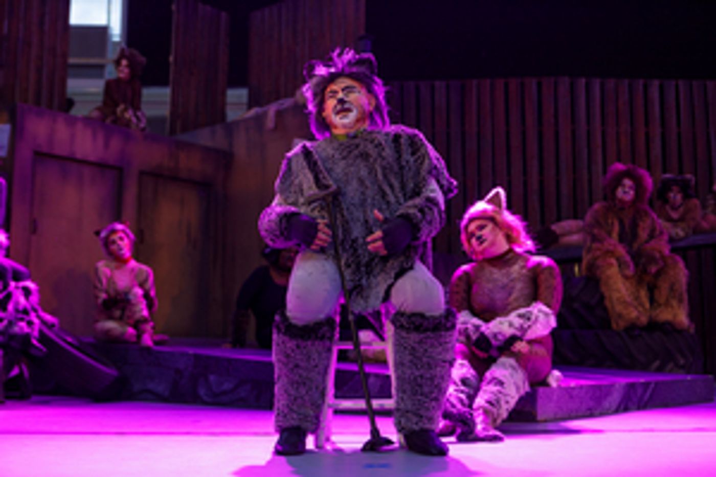 Review: CATS THE MUSICAL at Stage West At The Lights Review: CATS THE MUSICAL at Stage West At The Lights Image