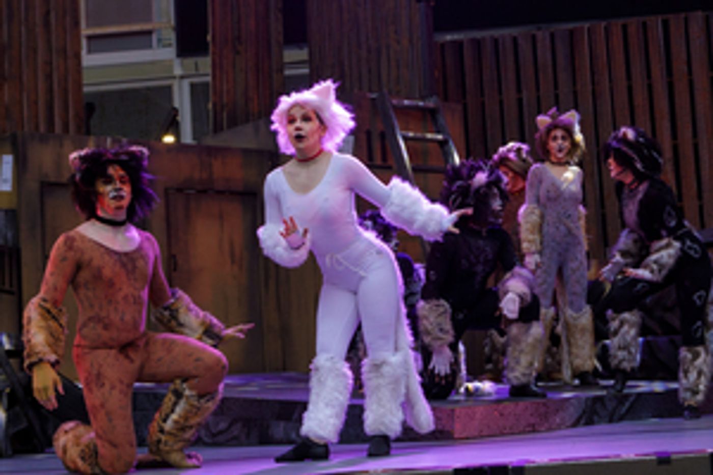 Review: CATS THE MUSICAL at Stage West At The Lights Review: CATS THE MUSICAL at Stage West At The Lights Image