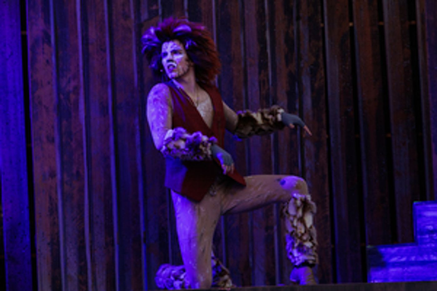 Review: CATS THE MUSICAL at Stage West At The Lights Review: CATS THE MUSICAL at Stage West At The Lights Image