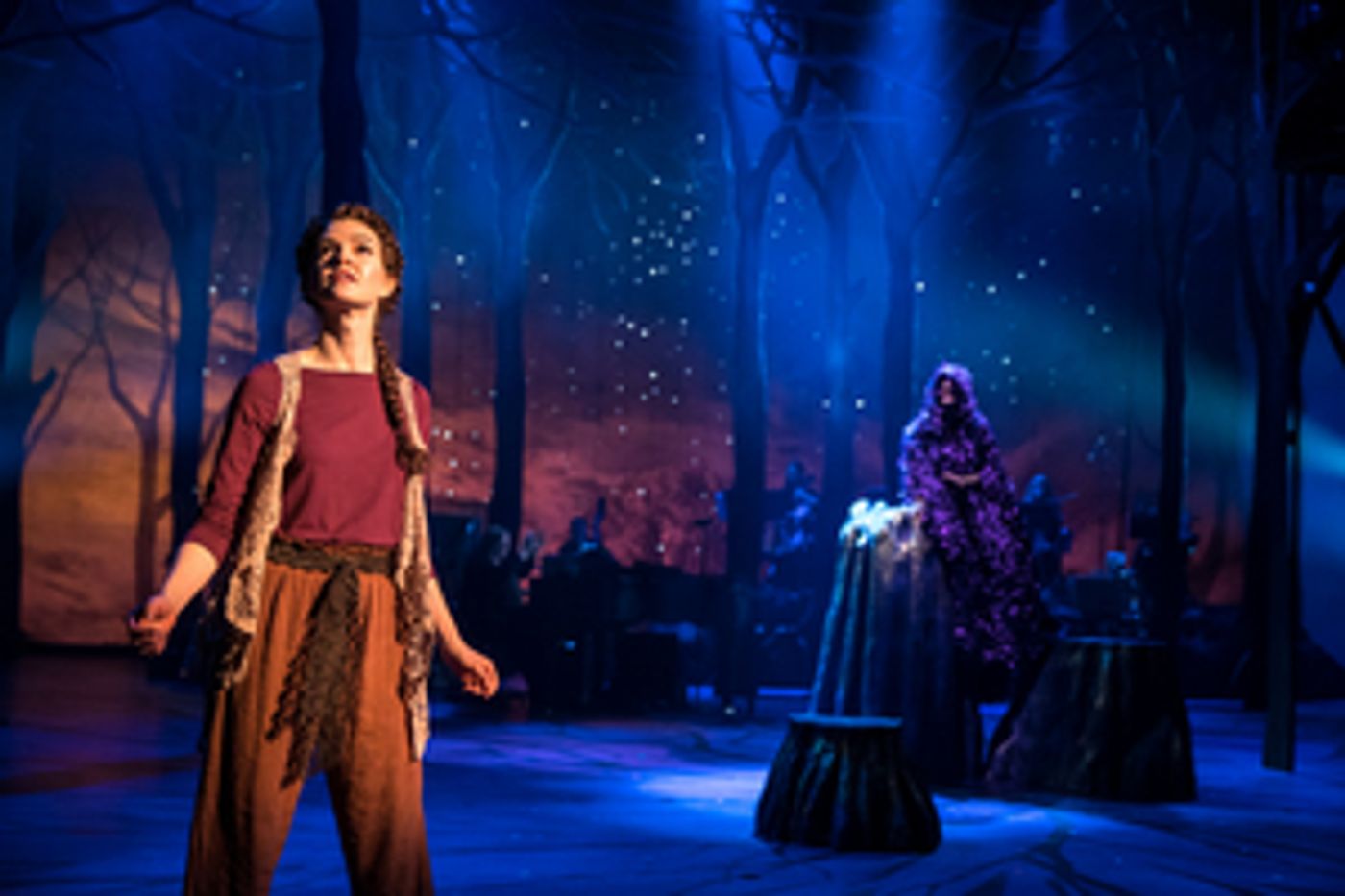 Review: INTO THE WOODS at Guthrie Theater Review: INTO THE WOODS at Guthrie Theater Image