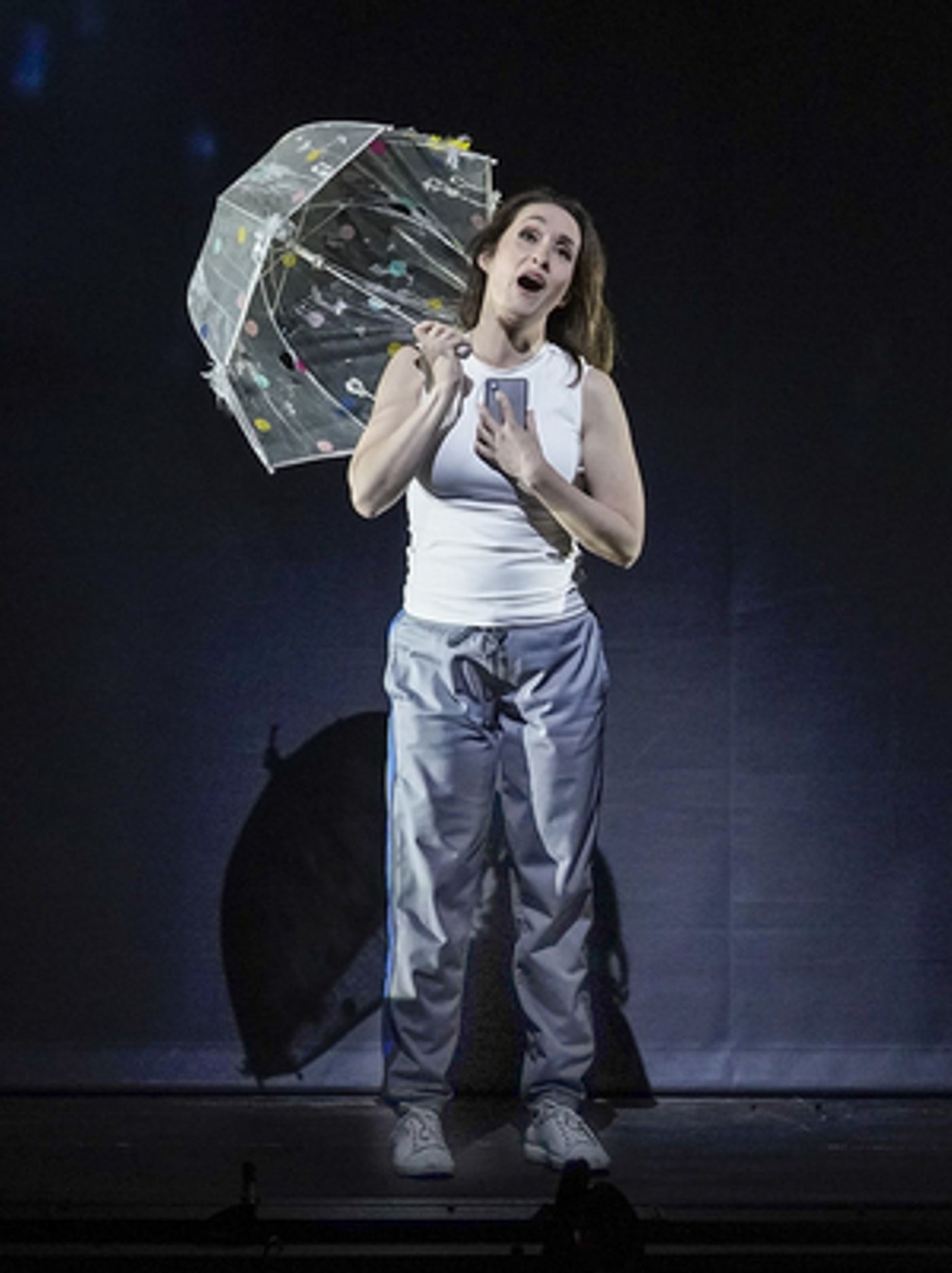 Review: Love It or Hate It, the Met's New MAGIC FLUTE Is a Creative Roller Coaster Ride  Image