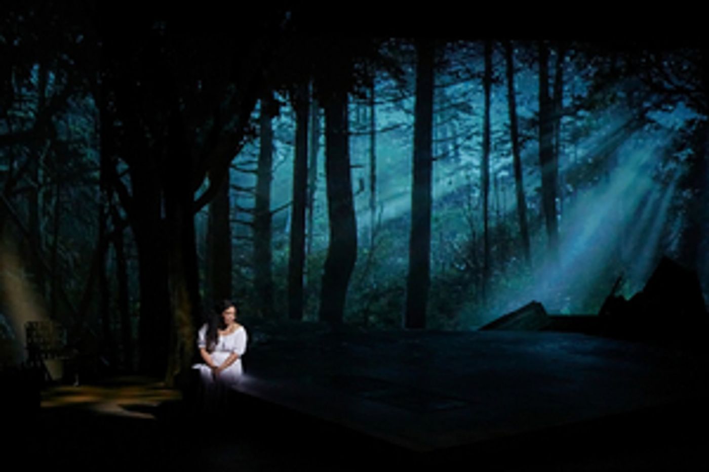 Review: SUSANNAH at Opera Theatre Of Saint Louis  Image