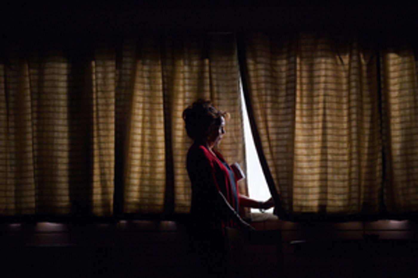 Royal Court Announces New Shows Including Tony-Winner DANA H.  Image