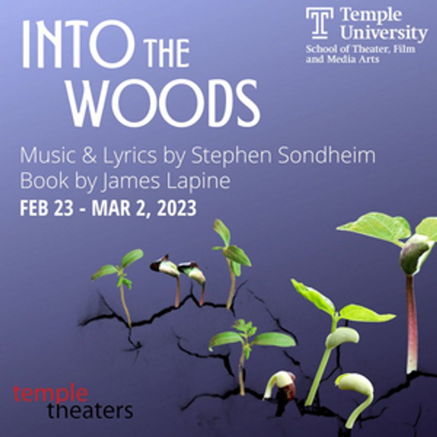 Sondheim's INTO THE WOODS Meets The Moment At Temple Theaters Image