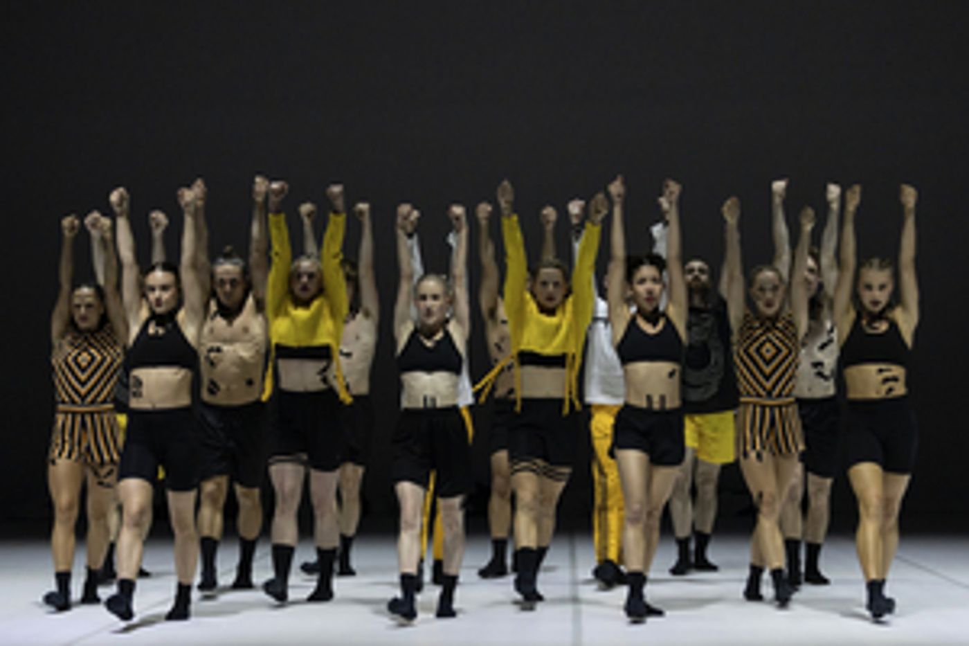 Sydney Dance Company's ASCENT Will Make Adelaide Debut  Image