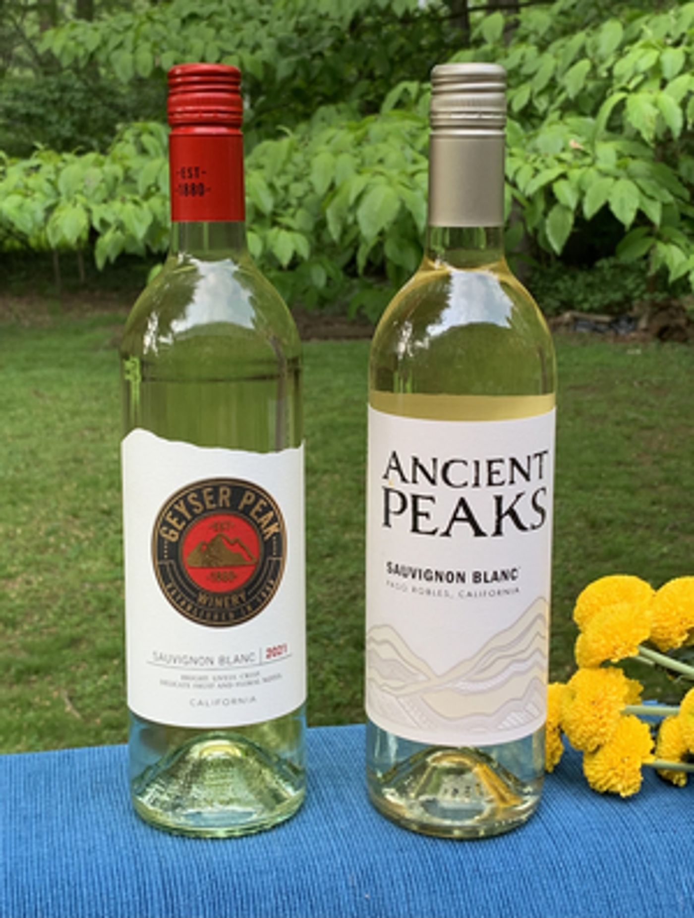 The Season for Whites – Two Delightful SAUVIGNON BLANC Choices from California Wineries  Image