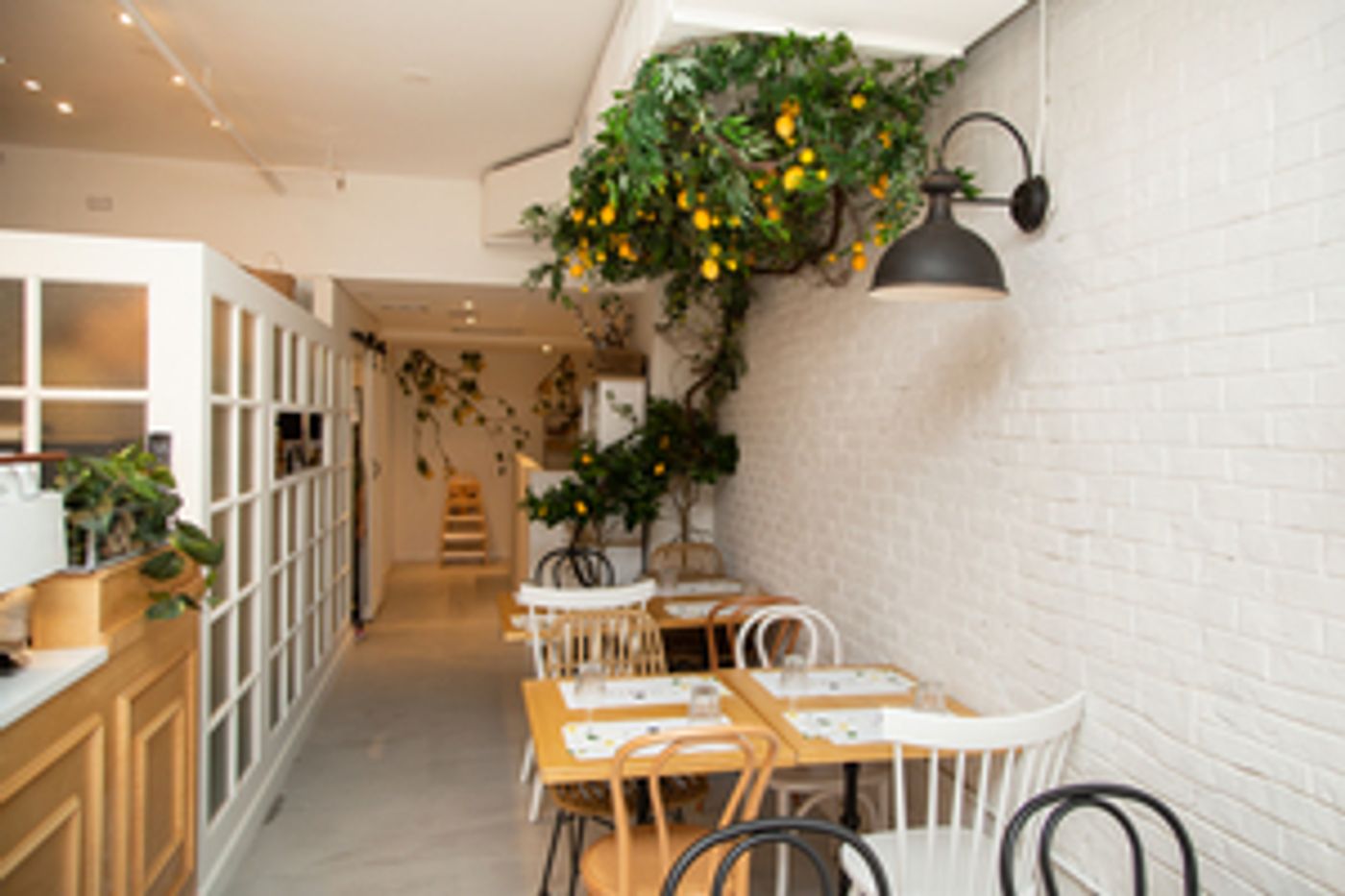 Review: OL'DAYS in NoMad Charms and Delights with Fresh Flavors  Image