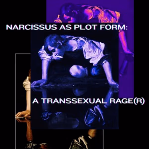 NARCISSUS AS PLOT FORM: A TRANSSEXUAL RAGE(R) To Have Public Reading Photo
