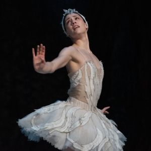 La Compañía Nacional De Danza Ofrece Función única De Lago De Los Cisnes En El…