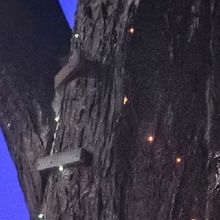 Photos: NO SUCH THING AS WOLVES at Birmingham Hippodrome