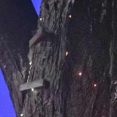 Photos: NO SUCH THING AS WOLVES at Birmingham Hippodrome