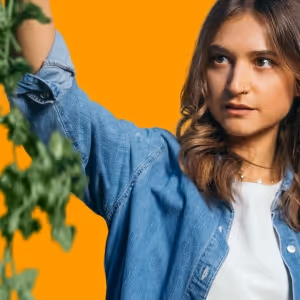 MY ENGLISH PERSIAN KITCHEN Opens at Edinburgh Fringe in August