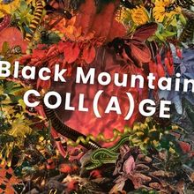 BLACK MOUNTAIN COLL(A)GE Exhibition Set For May