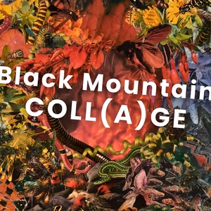 BLACK MOUNTAIN COLL(A)GE Exhibition Set For May