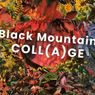 BLACK MOUNTAIN COLL(A)GE Exhibition Set For May