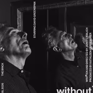 WITHOUT MIRRORS To Play At The Brick Theater In February