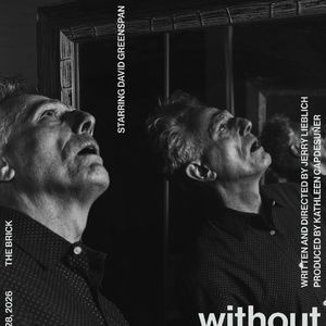 WITHOUT MIRRORS To Play At The Brick Theater In February