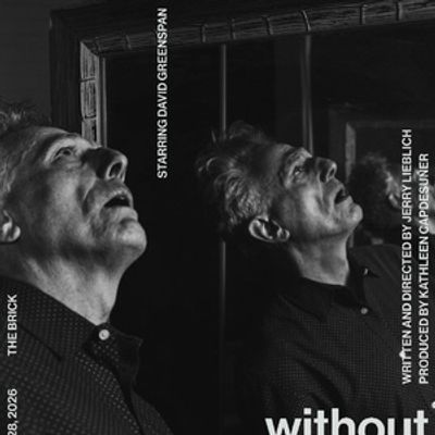 WITHOUT MIRRORS To Play At The Brick Theater In February