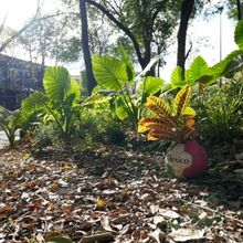 Continúa El Programa De Intervenciones En El Jardín Escultórico Del Museo De Arte