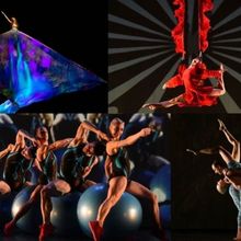 MOMIX Brings ALICE to The Auditorium Theatre in March