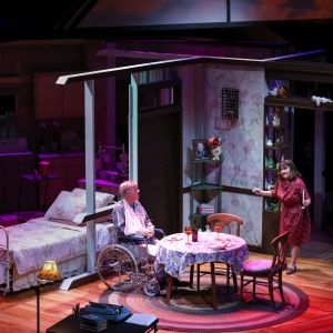 Photos: First Look at PlayMakers Repertory Company's Production Of MISERY