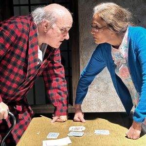 THE GIN GAME Comes to Lakewood Theatre Company This Month
